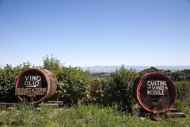 Full day private tour to Chianti wine region from Florence - Final Thoughts
