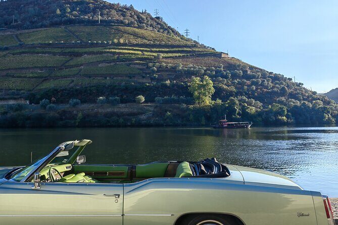 Full Day Private Tour to Douro - Vintage Experience - FAQ