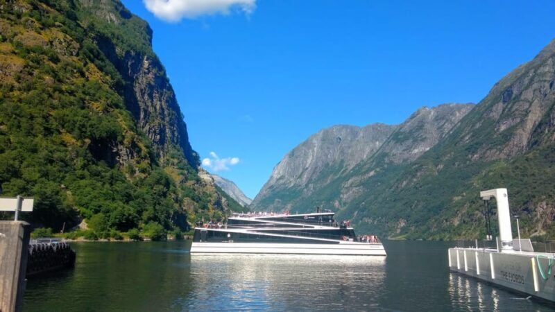 Full day private tour to Flåm - Who Is This Tour Best For?