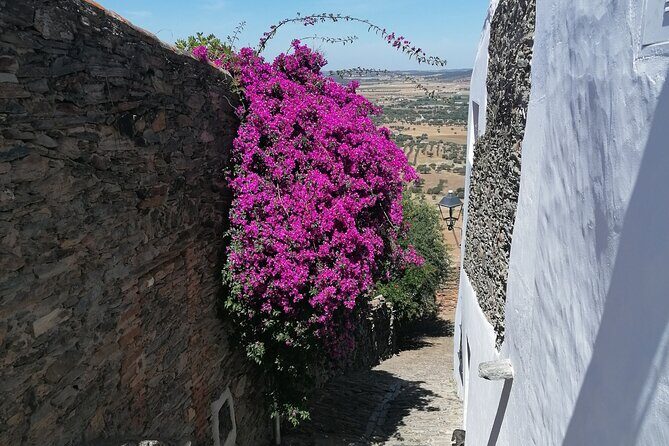 FULL DAY Private Tour to Sintra, Queluz, Cabo da Roca, and Cascais - What This Tour Offers in Detail
