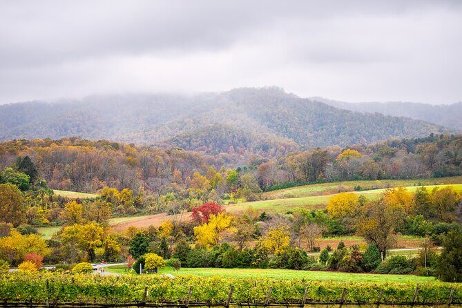 Full-Day Private Virginia Wine Tour Experience from Washington - Final Thoughts