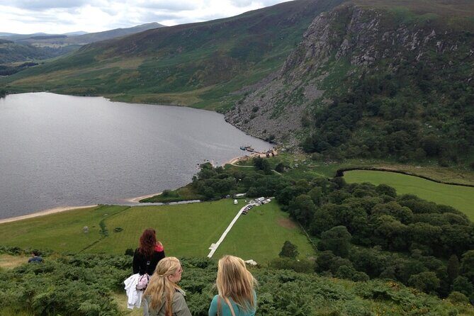 Full Day Private Wicklow Tour - Who Should Consider This Tour?