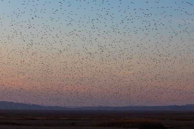 Full-Day Private Wilderness Tour in Vashlovani National Park - Who Should Consider This Tour?