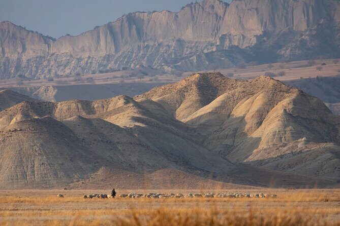 Full-Day Private Wilderness Tour in Vashlovani National Park - FAQ