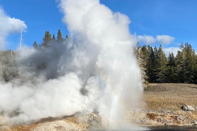 Full Day Private Wildlife/Geyser Tour from West Yellowstone - The Logistics and What You Gain