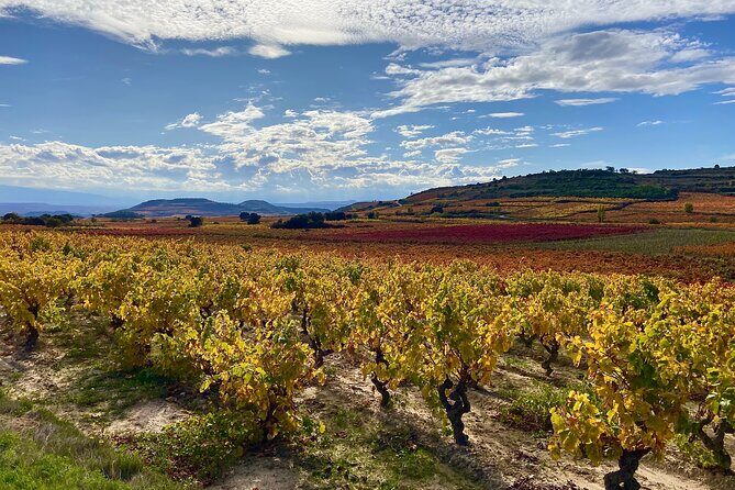 Full-Day Private Wine Tasting Tour in La Rioja with lunch - Who Should Consider This Tour?