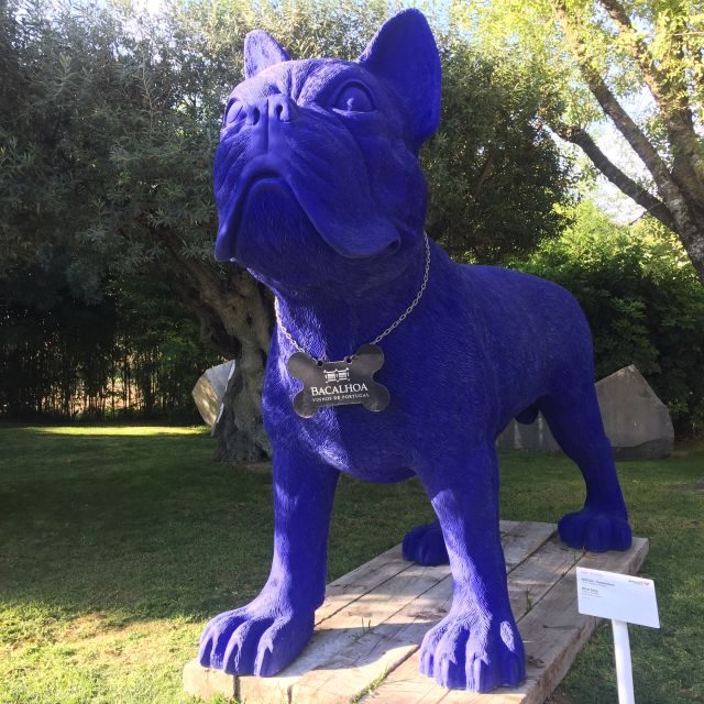 Full Day Private Wine Tour in Arrabida - A Day Well Spent and What You Can Expect