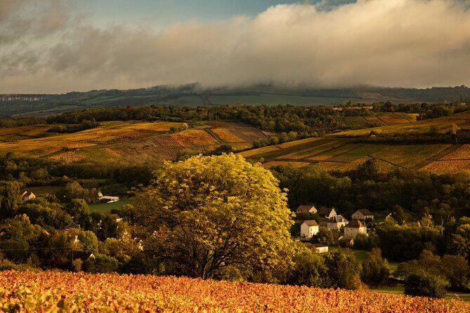 Full-Day Private Wine Tour in Côte de Beaune - Discover the Charm of a Full-Day Private Wine Tour in Côte de Beaune