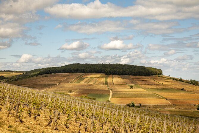 Full-Day Private Wine Tour in Côte de Beaune - An In-Depth Look at the Full-Day Private Wine Tour in Côte de Beaune