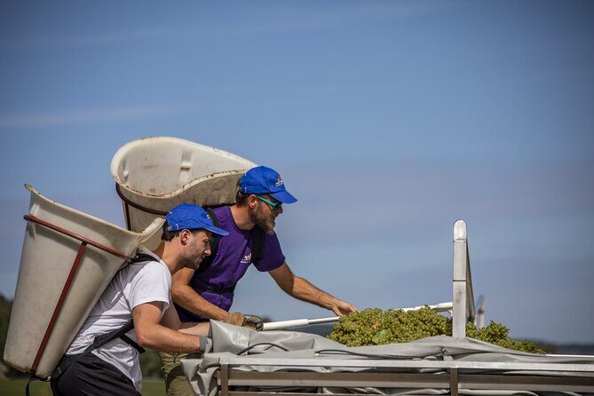 Full-Day Private Wine Tour in Côte de Beaune - Practical Details and Tips