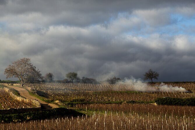Full-Day Private Wine Tour in Côte de Beaune - FAQs
