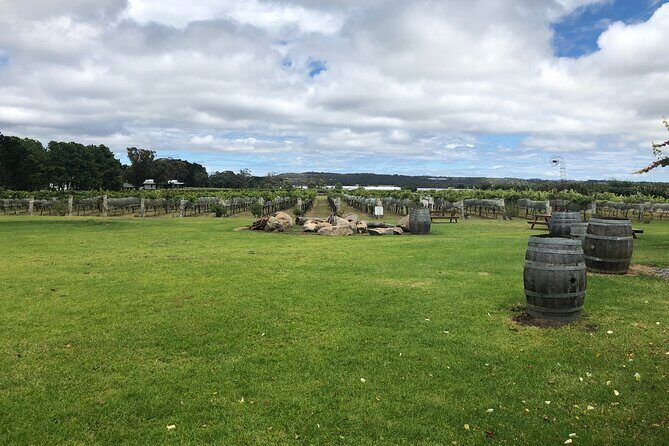 Full-Day Private Wine Tour of the Stanthorpe Area with Lunch - The Sum Up