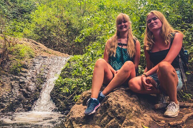 Full Day Rainforest Tour with Tasting and Swimming Time ツ - Booking and Cancellation