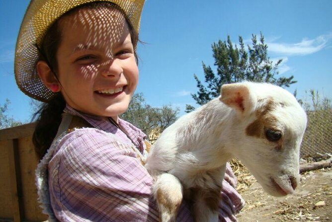 Full-Day Ranch Adventure and Horseback Riding Tour - Exploring the Full-Day Ranch Adventure and Horseback Riding Tour in San Miguel de Allende