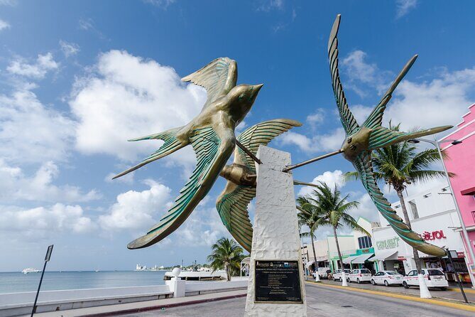 Full-Day Reef Snorkeling in Cozumel from Cancun with Lunch - Final Thoughts