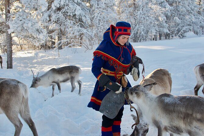 Full-Day Reindeer Tour with Pickup in Kiruna - Practical Details & Considerations