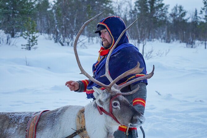 Full-Day Reindeer Tour with Pickup in Kiruna - FAQ