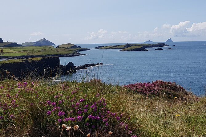 Full-Day Ring of Kerry Tour from Killarney - The Highlights: Scenic Stops and Photo Opportunities
