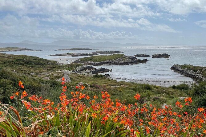 Full-Day Ring of Kerry Tour from Killarney - FAQs