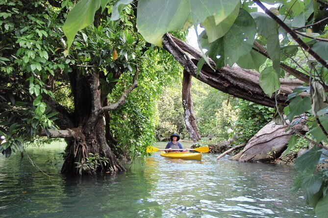 Full Day River Kayaking & Cascades from Port Vila - Key Points