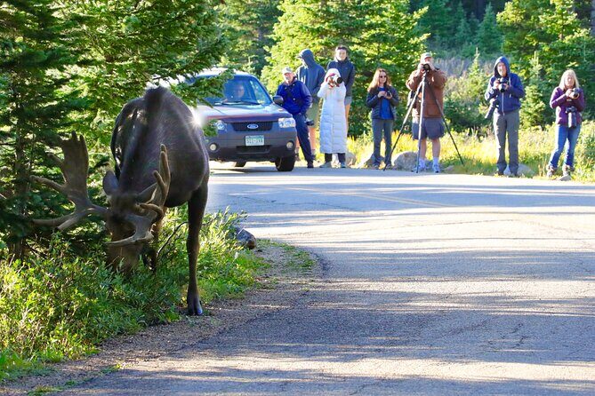 Full-Day Rocky Mountain National Park "Over The Top Tour" - RMNPhotographer - The Itinerary in Detail