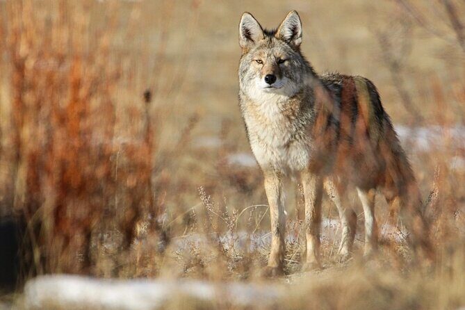 Full-Day Rocky Mountain National Park "Over The Top Tour" - RMNPhotographer - Who Should Consider This Tour?