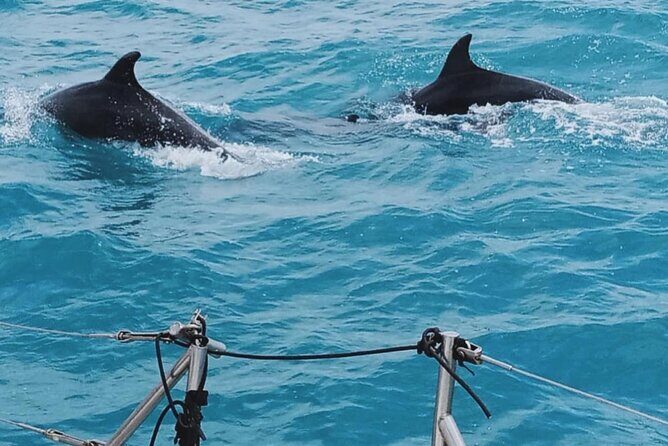 Full Day Sailing Tour Catania-Acitrezza - Who Is This Tour Best For?