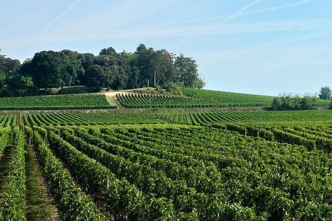 Full-day Saint-Emilion: Village, Undergrounds and Châteaux - FAQ