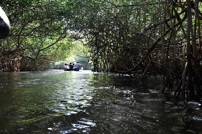 Full-Day San Blas Tour from Puerto Vallarta - Who This Tour Is Best For