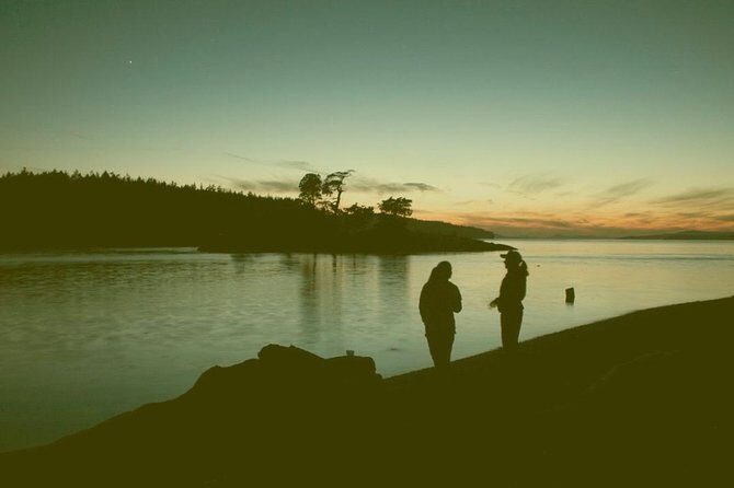 Full Day San Juan Island Kayaking Adventure - Considerations Before Booking