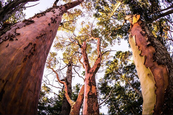 Full Day San Juan Island Kayaking Adventure - Final Thoughts