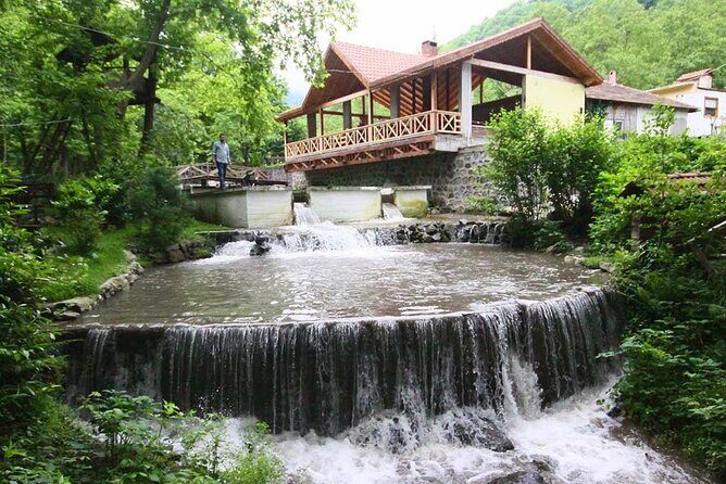 Full Day Sapanca and Masukiye Tour with lunch - Masukiye: Beauty and Local Flavors