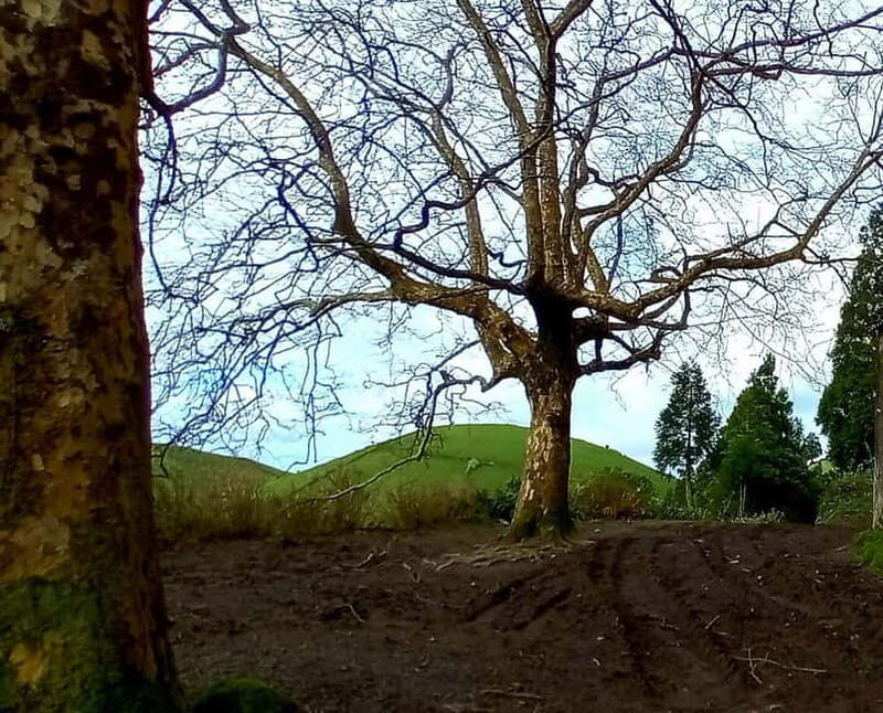 Full day Sete Cidades Lagoa de Fogo - What’s Included & Practical Details