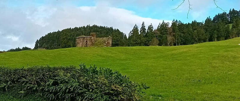 Full day Sete Cidades Lagoa de Fogo - Final Thoughts: Is This Tour Right For You?