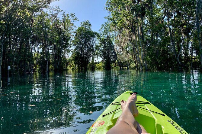 Full Day Single Kayak Rental In Crystal River - What Does the Full Day Kayak Rental Entail?