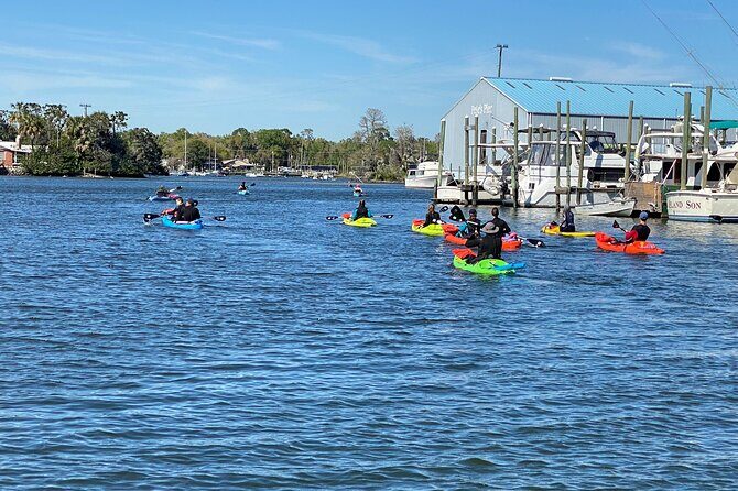 Full Day Single Kayak Rental In Crystal River - Practical Tips for Your Day