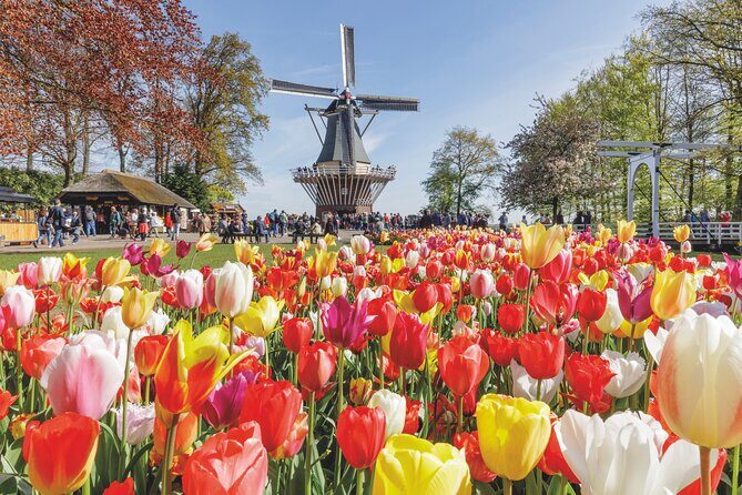 Full-Day Skip the Line Keukenhof and Canal Cruise from Amsterdam - An Honest Breakdown of the Tour Experience