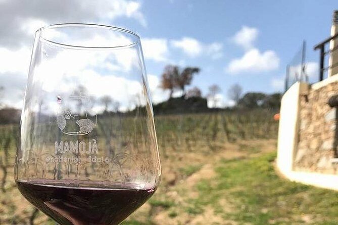 Full Day-Small group: Barbagia Experience: Mamoiada and Orgosolo from Cagliari - Who Will Love This Tour?