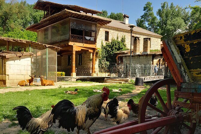 Full-Day Small-Group Tour of Bulgaria by Minivan with Lunch - FAQ