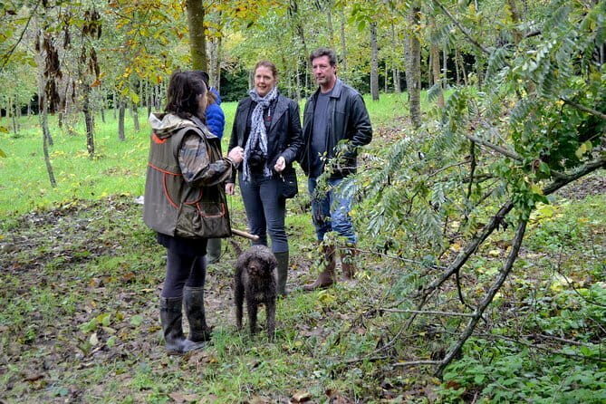 Full-Day Small-Group Truffle Hunting in Tuscany with Lunch - Key Points