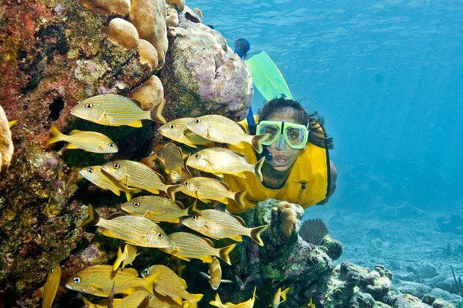 Full-Day Snorkel Extreme Adventure Tour from Riviera Maya - What to Expect Day-to-Day