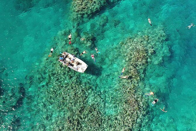 Full Day Snorkelling Cruise in Tranquility Island Resort - An Overview of the Experience