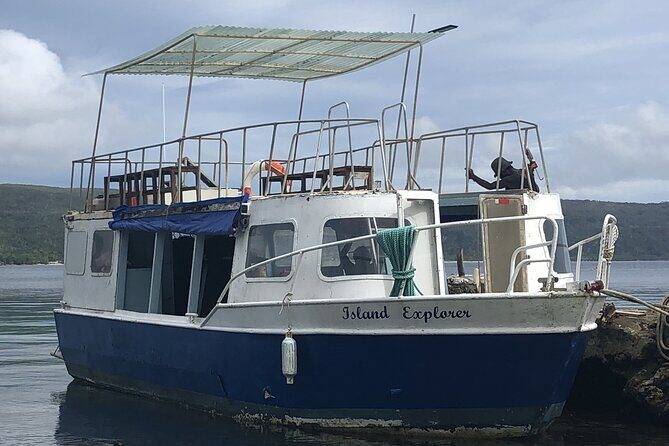 Full Day Snorkelling Cruise in Tranquility Island Resort - The Value of the Trip and the Food