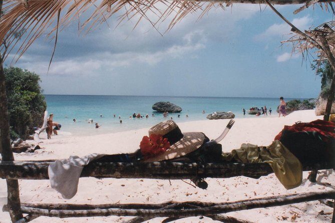 Full Day Snorkelling Cruise in Tranquility Island Resort - Group Size, Timing, and Flexibility