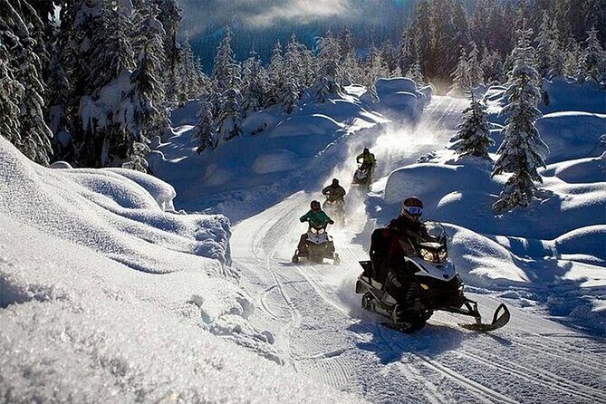Full Day Snowmobile Safari - Pricing and Value