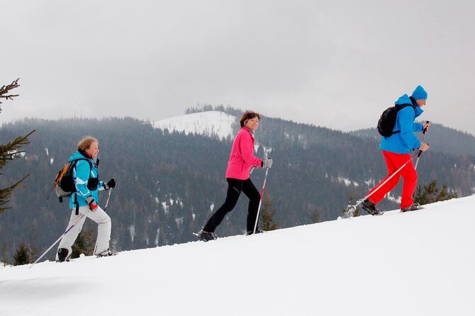 Full-Day Snowshoeing in High Tatras with Local Mountain Guide from Poprad - Key Points