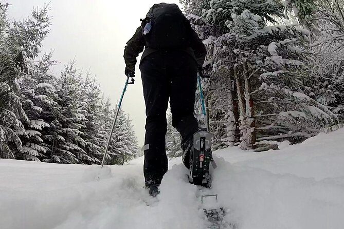 Full-Day Snowshoeing in High Tatras with Local Mountain Guide from Poprad - FAQ