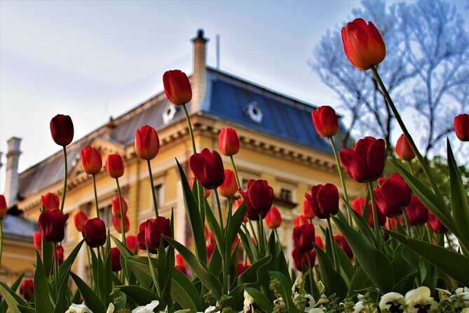 Full Day Sofia Tour - FAQ