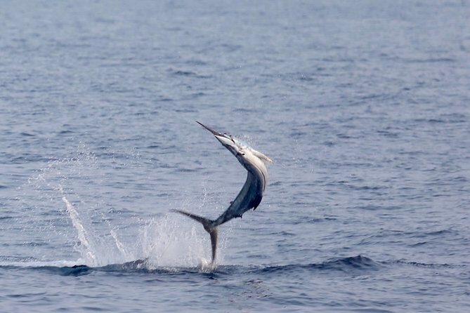 Full Day Sportsman/Enthusiast Charter - What Makes This Tour Stand Out?