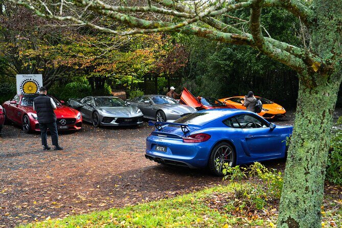 Full-Day Supercar Drive Experience from Auckland (lunch included) - The Experience in Detail